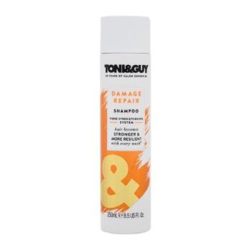 TONI&GUY Damage Repair 250 ml szampon do włosów dla kobiet uszkodzony flakon