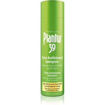 Plantur 39 szampon kofeinowy do włosów farbowanych i zniszczonych 250 ml