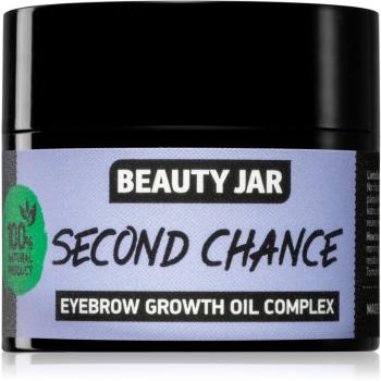 Beauty Jar Second Chance odżywczy olejek do brwi i rzęs 15 ml