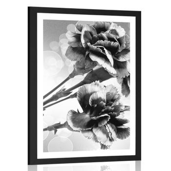 Plakat z passe-partout kwiat goździka w czarno-białym kolorze - 30x45 silver