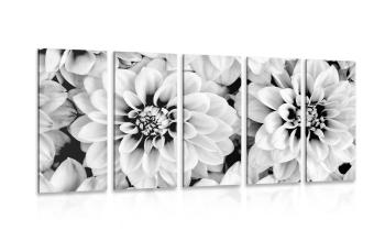 5-częściowy obraz pastelowe kwiaty dalie w czarnobiałym kolorze - 200x100