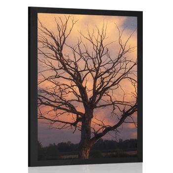 Plakat piękne drzewo na łące - 20x30 silver