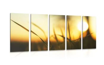 5-częściowy obraz zachodzące słońce w trawie - 200x100