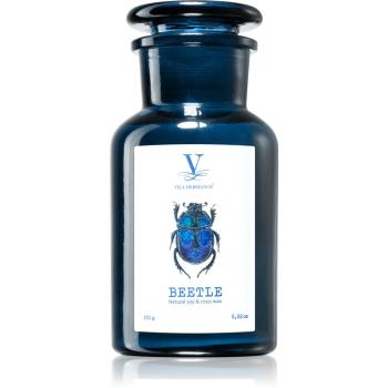 Vila Hermanos Talisman Beetle świeczka zapachowa 250 g