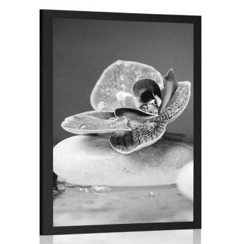 Plakat orchidea i kamienie zen w czerni i bieli - 30x45 silver