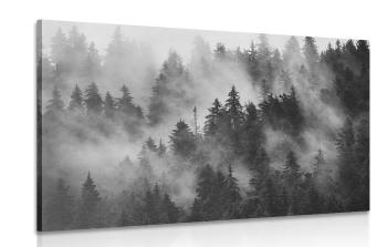 Obraz góry we mgle w wersji czarno-białej