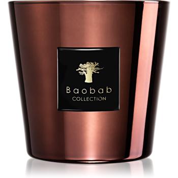 Baobab Les Exclusives Cyprium świeczka zapachowa 8 cm