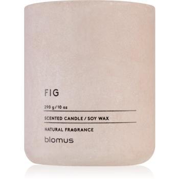 Blomus Fraga Fig świeczka zapachowa 290 g