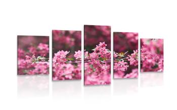 5-częściowy obraz szczegółowo kwiaty wiśni - 100x50