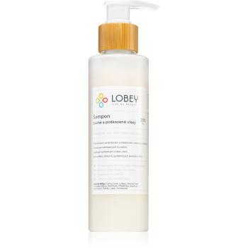 Lobey Hair Care szampon do włosów suchych i zniszczonych 200 ml