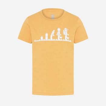 Koszulka dziecięca Lego® Wear Lwticho 202 T-shirt SS  11010400 220