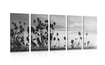 5-częściowy obraz źdźbła trawy na polu w wersji czarno-białej - 100x50