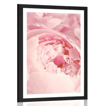 Plakat z passe-partout płatki kwiatów - 40x60 black