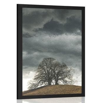 Plakat samotne drzewa - 60x90 black