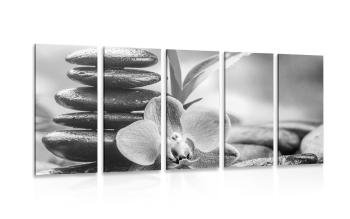 5-częściowy obraz tropikalna kompozycja Zen w wersji czarno-białej - 100x50
