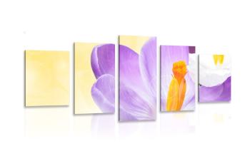 5-częściowy obraz kwiat z wiosennym akcentem - 100x50