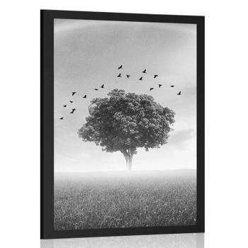 Plakat samotne drzewo na łące w czerni i bieli - 40x60 white
