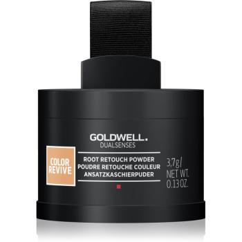 Goldwell Dualsenses Color Revive puder koloryzujący do włosów farbowanych i po balejażu Medium to Dark Blonde 3.7 g