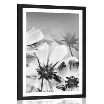 Plakat z passe-partout kwiaty ogrodowe w czerni i bieli - 20x30 silver