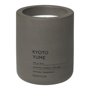 Świeczka sojowa Blomus Fraga Kyoto Yume, 55 h