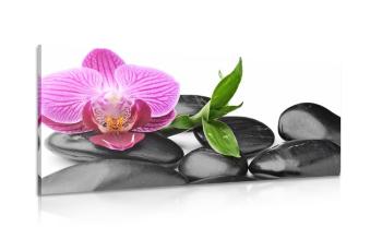Obraz orchidea i kamienie do masażu wellness