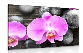 Obraz piękna kompozycja orchidea i kamienie - 120x80