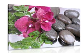 Obraz kwitnąca orchidea i kamienie wellness - 120x80