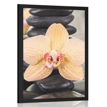 Plakat żółta orchidea i kamienie Zen - 40x60 silver