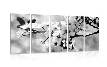 5-częściowy obraz kwiat wiśni w wersji czarno-białej - 200x100