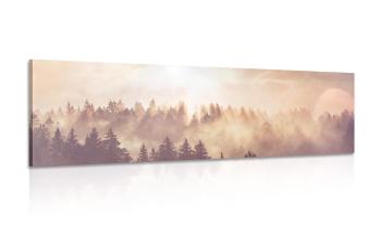 Obraz mgła nad lasem - 120x40