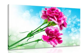 Obraz kwiat goździka - 90x60