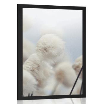 Plakat arktyczne kwiaty bawełny - 60x90 silver