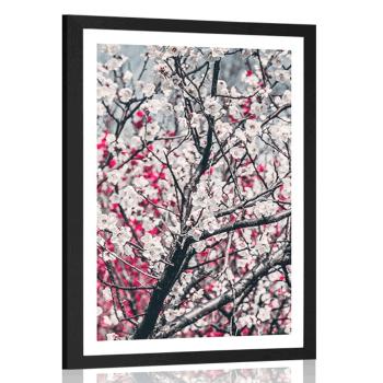 Plakat z passe-partout kwiaty brzoskwini - 60x90 white