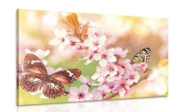 Obraz wiosenne kwiaty z egzotycznymi motylami - 120x80