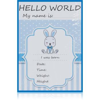 KidPro Milestone Cards Bunny For a Boy