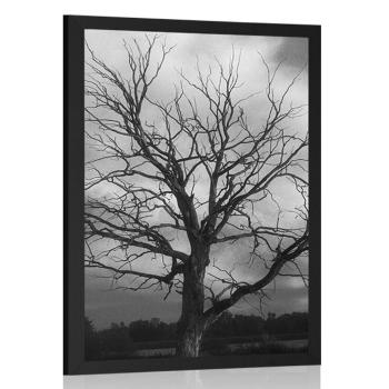 Plakat czarno-białe drzewo na łące