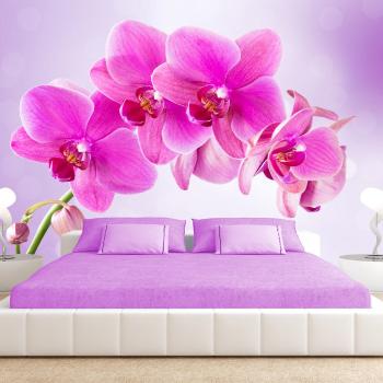 Tapeta samoprzylepna różowa orchidea - Zamyślenie - 147x105
