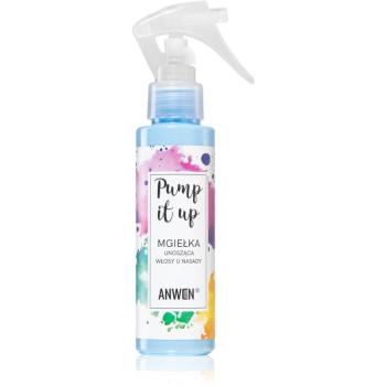 Anwen Pump it Up spray dodający objętości 100 ml