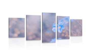 5-częściowy obraz niebieskie kwiaty na tle vintage