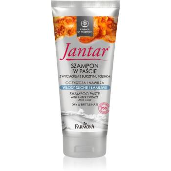 Farmona Jantar Amber Extract & Clay szampon oczyszczający do włosów suchych i łamliwych 200 ml