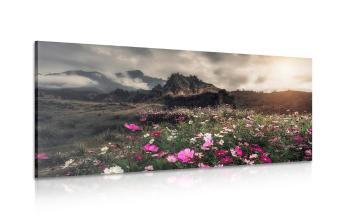 Obraz łąka kwitnących kwiatów - 120x60