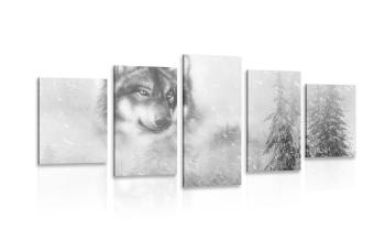 5-częściowy obraz wilk w zaśnieżonym krajobrazie w wersji czarno-białej - 100x50