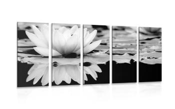 5-częściowy obraz kwiat lotosu w wersji czarno-białej - 200x100