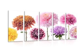 5-częściowy obraz kwiaty dalii w różnym dizajnie - 100x50