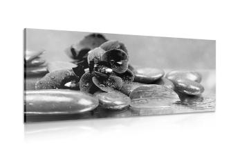 Obraz orchidea z nutą relaksu w wersji czarno-białej - 100x50