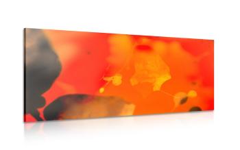 Obraz abstrakcyjny ognisty liść - 100x50