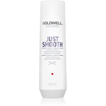 Goldwell Dualsenses Just Smooth szampon wygładzający do włosów trudno poddających się stylizacji 250 ml