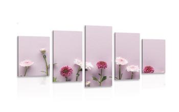 5-częściowy obraz kompozycja różowych chryzantem - 100x50