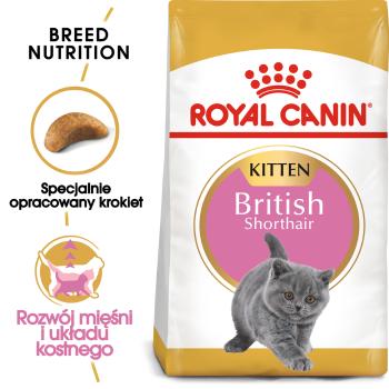 ROYAL CANIN Kitten british shorthair 10 kg karma sucha dla kociąt, do 12 miesiąca, rasy brytyjski krótkowłosy