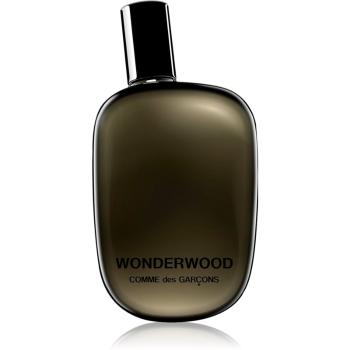 Comme des Garçons Wonderwood woda perfumowana dla mężczyzn 50 ml